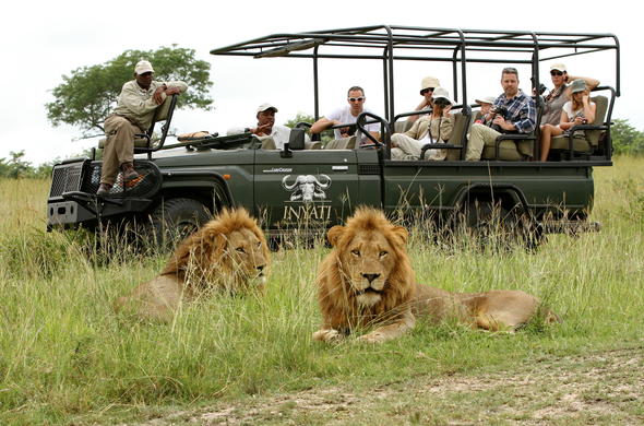Afbeeldingsresultaat voor Kruger safari