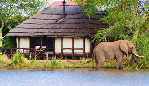 Lodge safari dans le parc national Kruger.