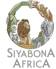 http://www.krugerpark.co.za