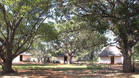 Balule Private Camp - Kruger National Park