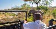 3 day south africa safari