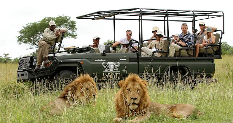 kruger family safari