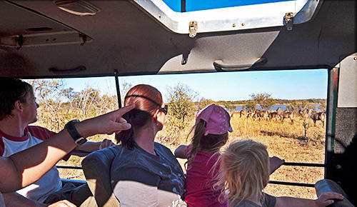 Kruger National Park guided safaris.