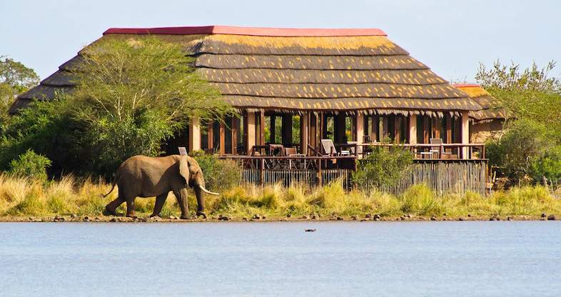 5 Unforgettable Safari Holidays