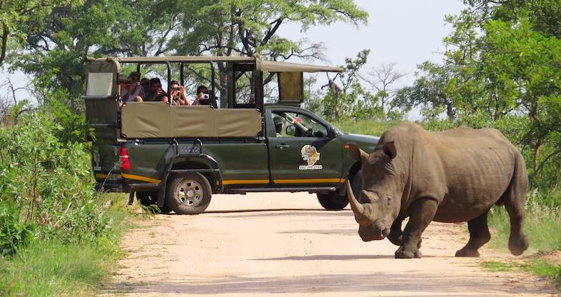 safari kruger park tour operator