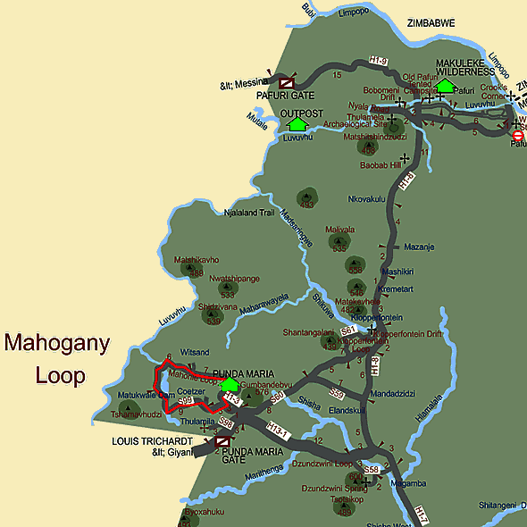 The Mahogany Loop