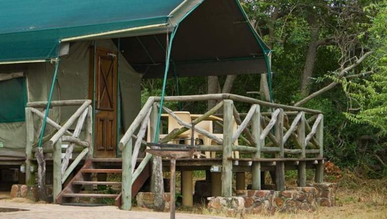 Gedeeltelijk doden breng de actie Kruger National Park - Tamboti Tent Camp - Accommodation